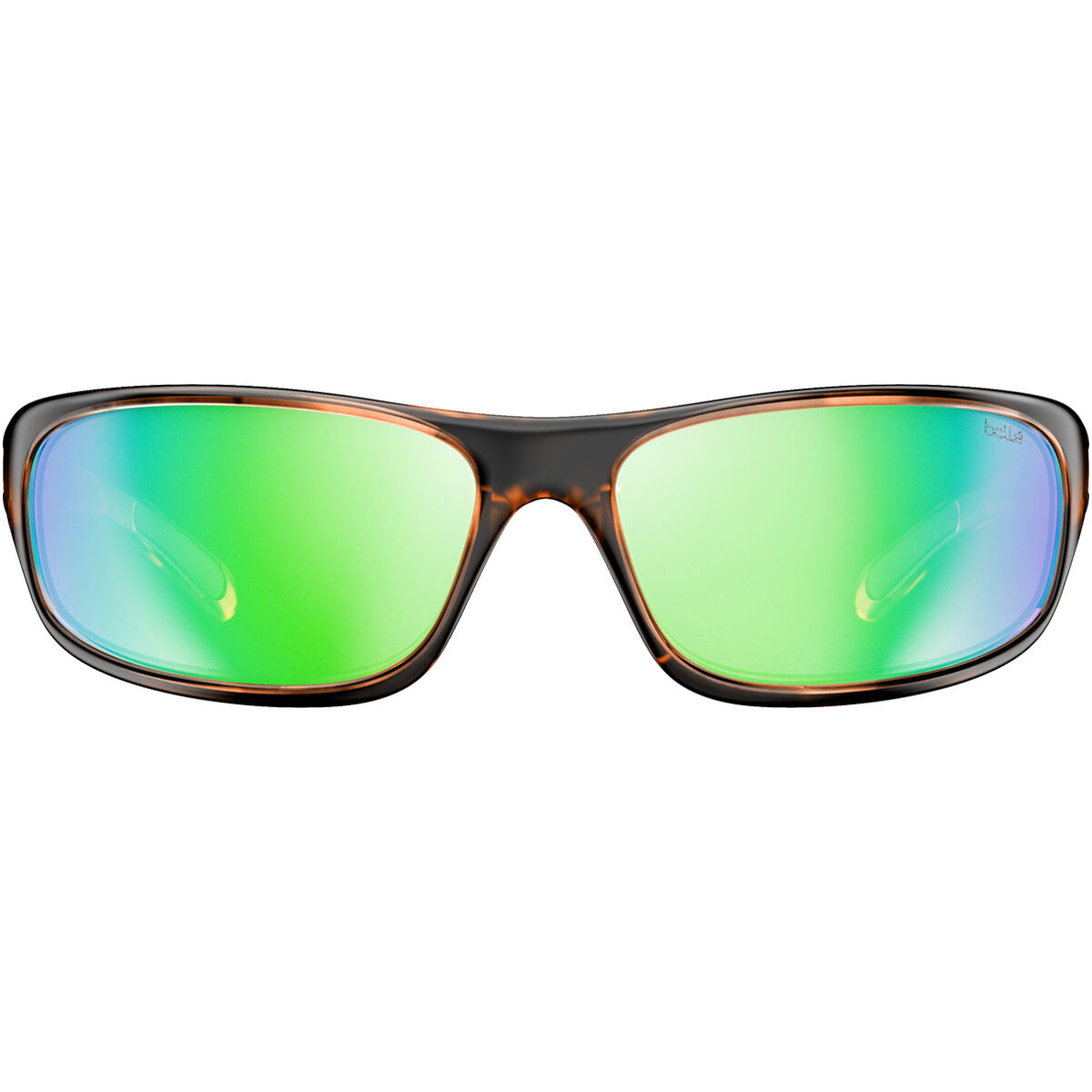 ANACONDA, Tortoise Shiny-Jade Green, hi-res image number null